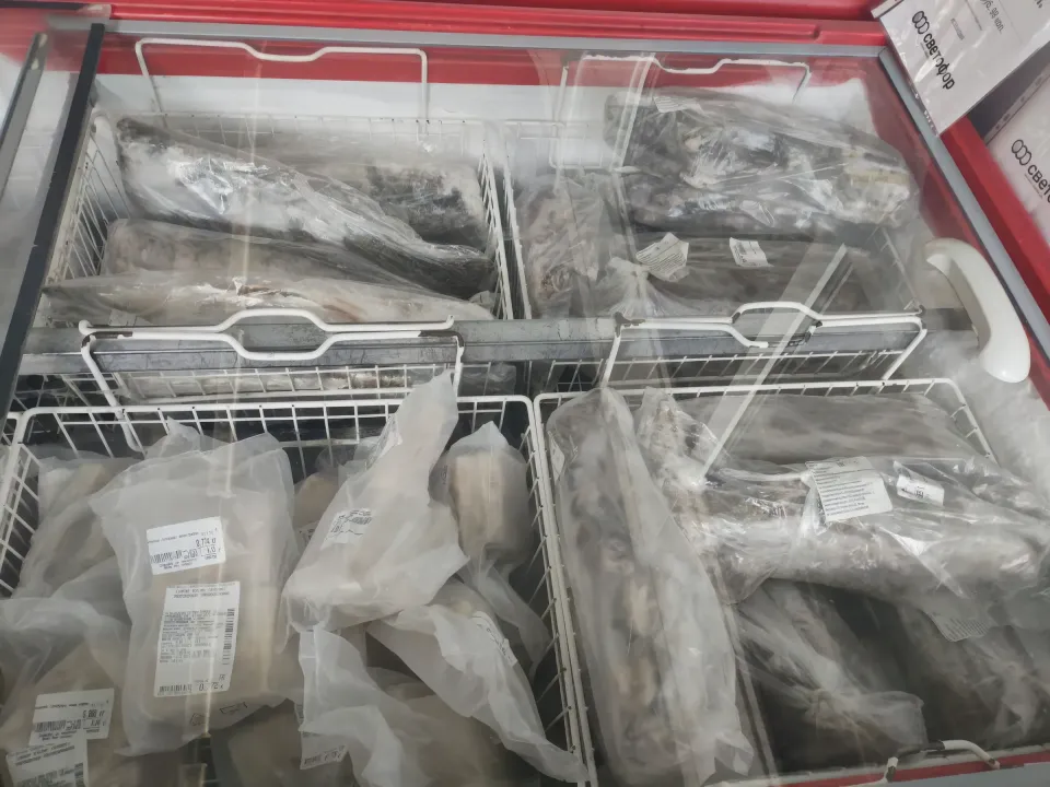 рыба в сфетофоре