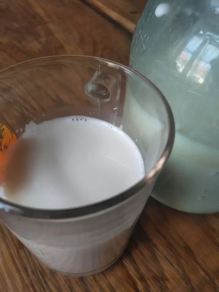молоко из орехов