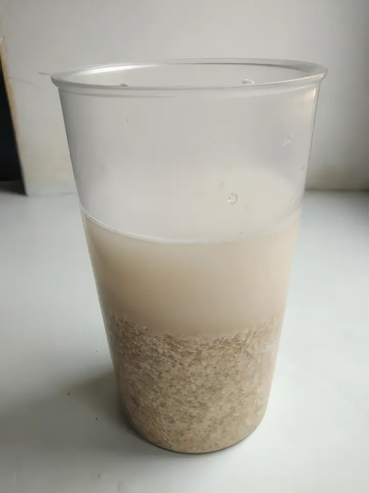 овсяное молоко дома