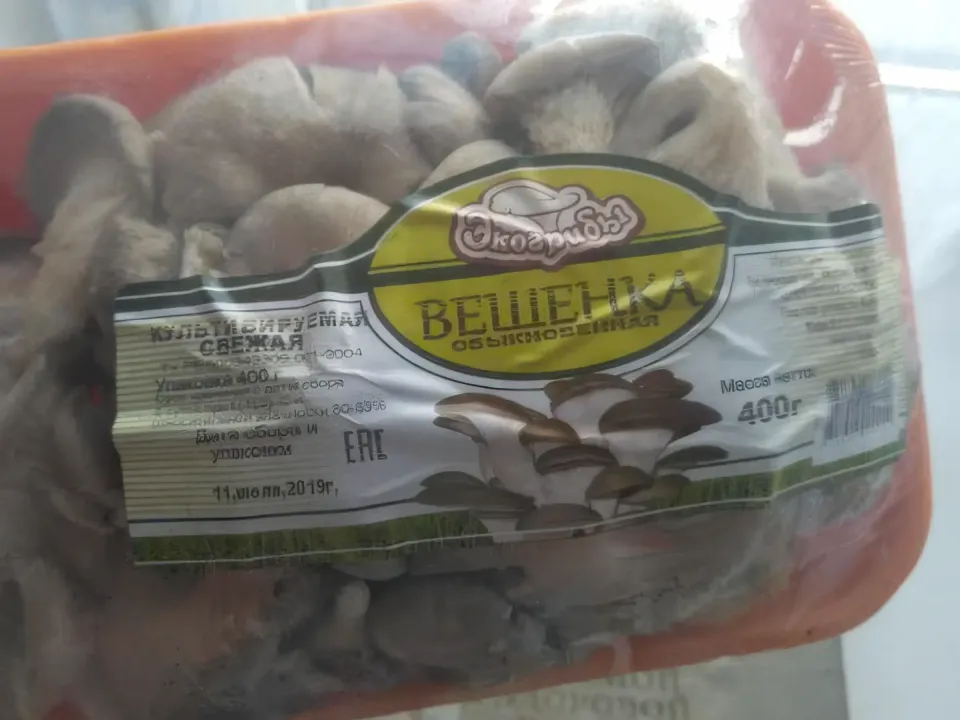 вешенки