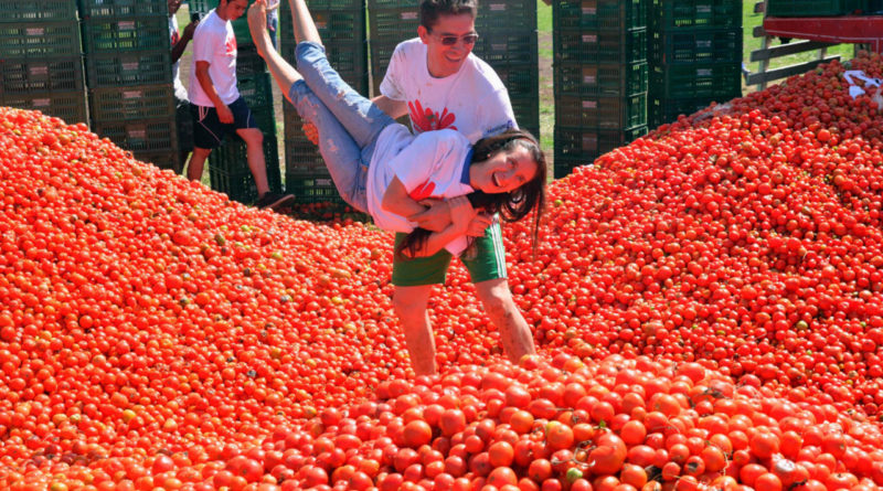почему люди боялись помидоров