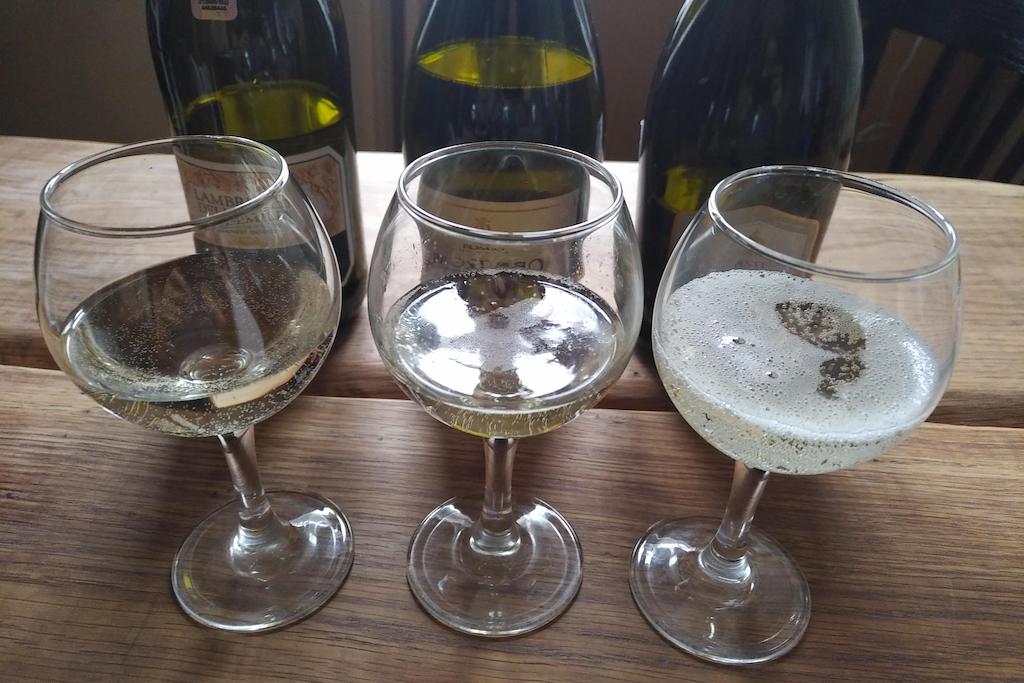 игристые вина какое лучше